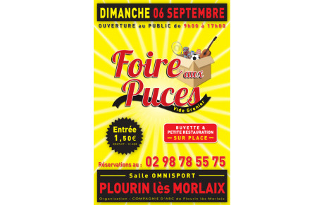 FOIRE AUX PUCES